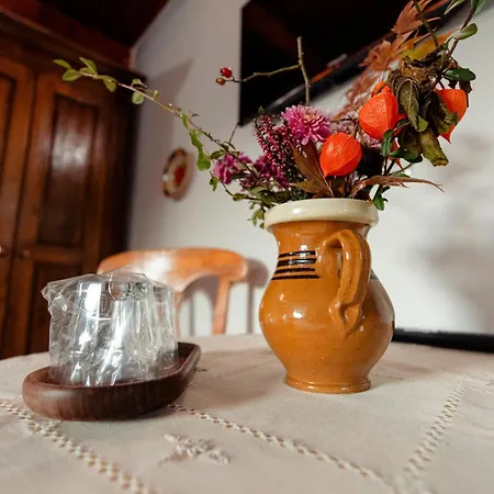 Casa de hóspedes Pensiunea Doina Vadu Izei