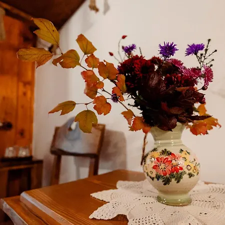 Casa de hóspedes Pensiunea Doina Vadu Izei