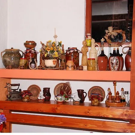 Casa de hóspedes Pensiunea Doina 3*