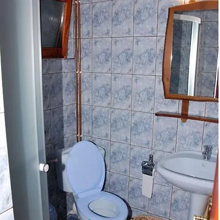 Casa de hóspedes Pensiunea Doina 3*