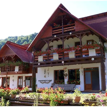 Casa de hóspedes Pensiunea Doina